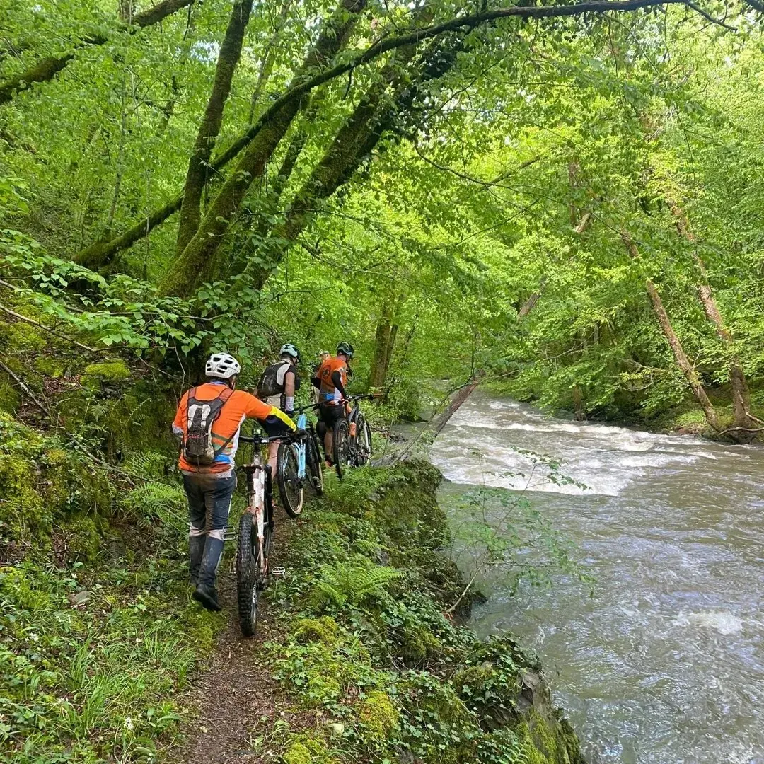 vtt roue des loues
