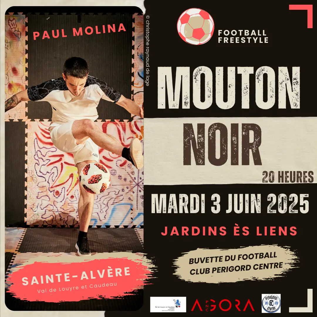 MOUTON NOIR - AFFICHE VF + FOOT
