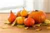 Automne-4-2