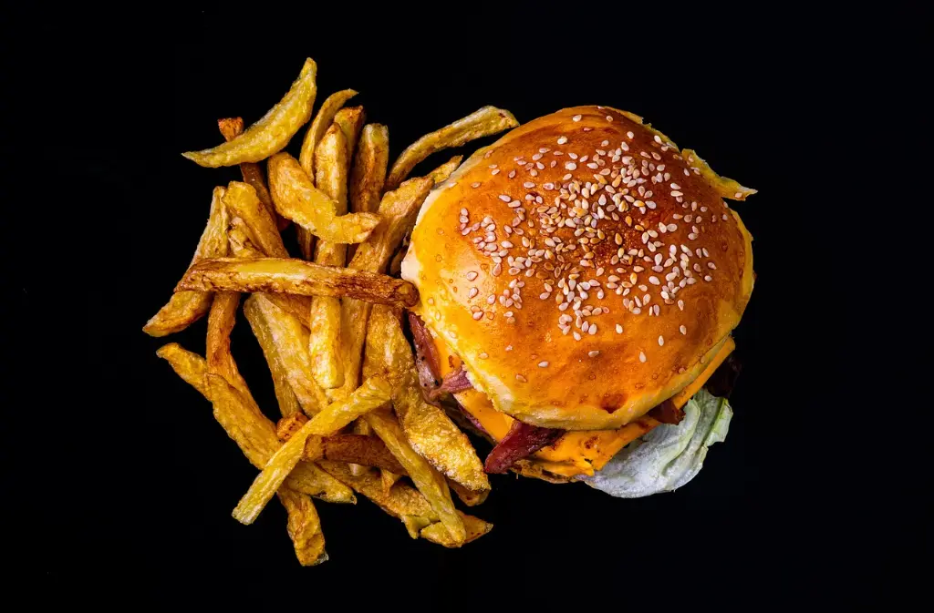 Burger (1)
