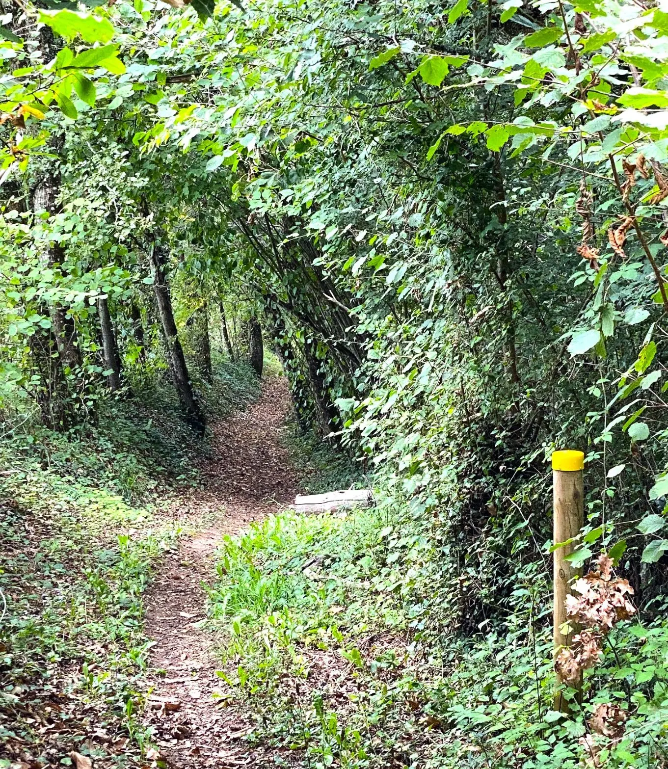 COUX-ET-BIGAROQUE-Boucle des fontaines-Chemin