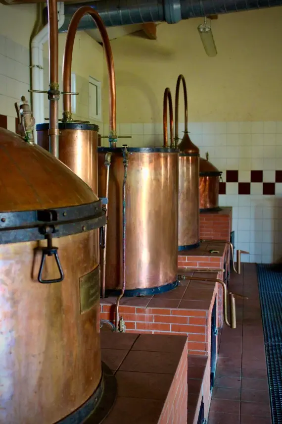 Visite Distillerie Clovis Reymond