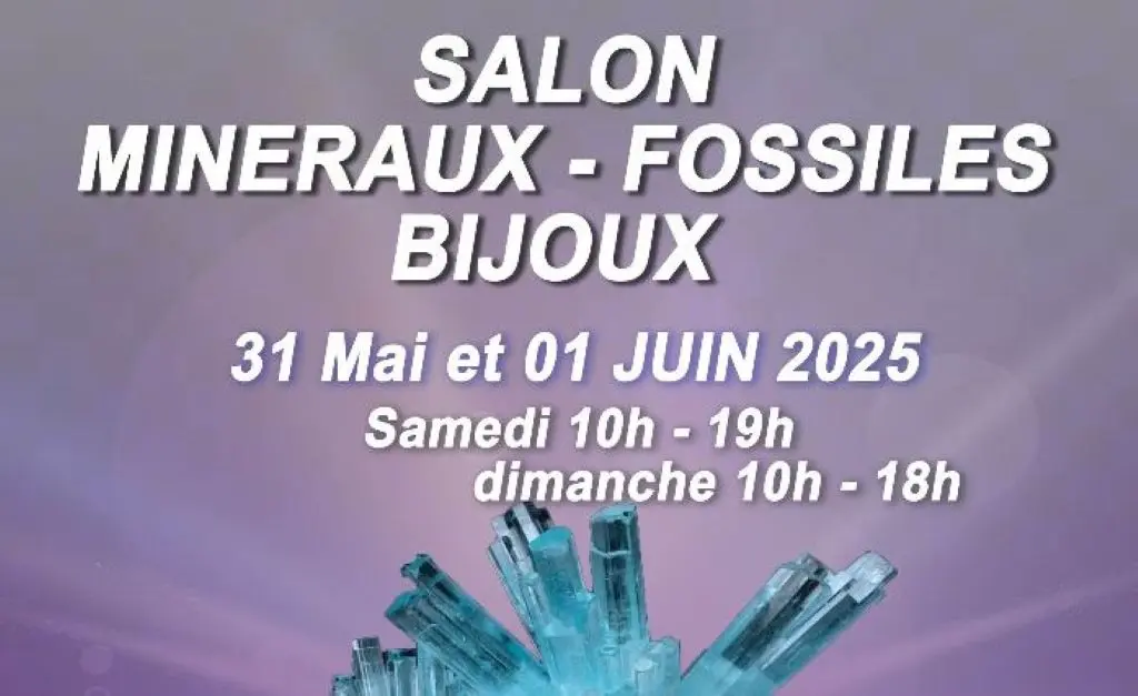 Capture d’écran 2025-05-09 151942