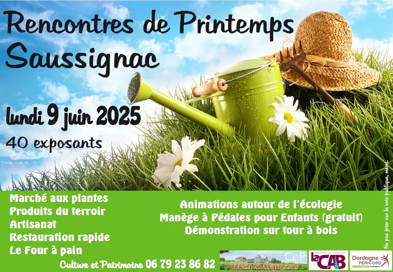 Capture d’écran 2025-05-18 124013