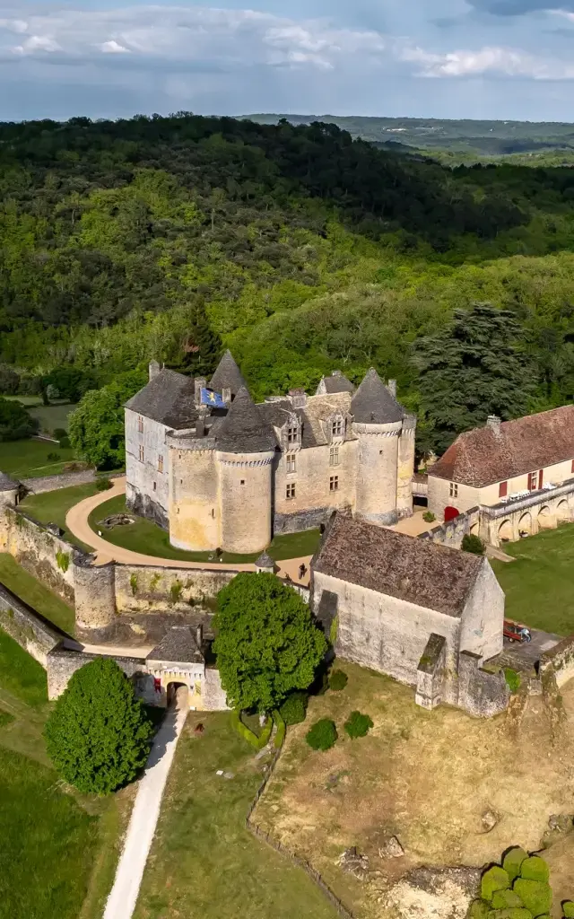 Chateau salignac