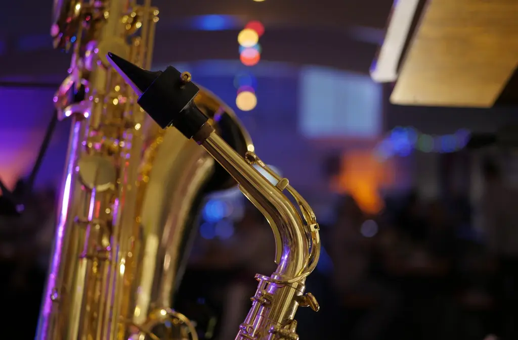 Concert Swingin'Bastides 20 août Issigeac (1)