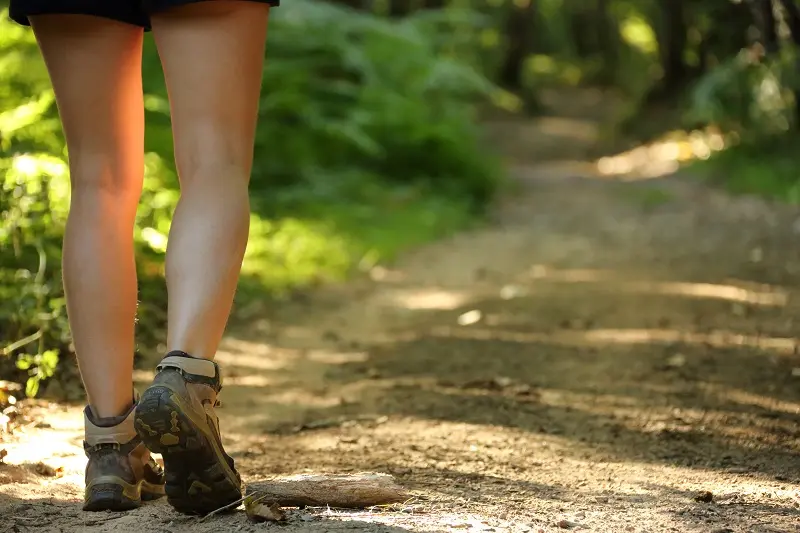 Copyright-M_Turin-CRTNA-PNR_Perigord-Limousin-4964