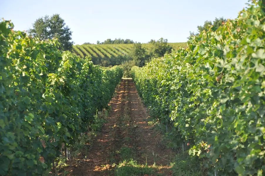 Domaine de Perreau