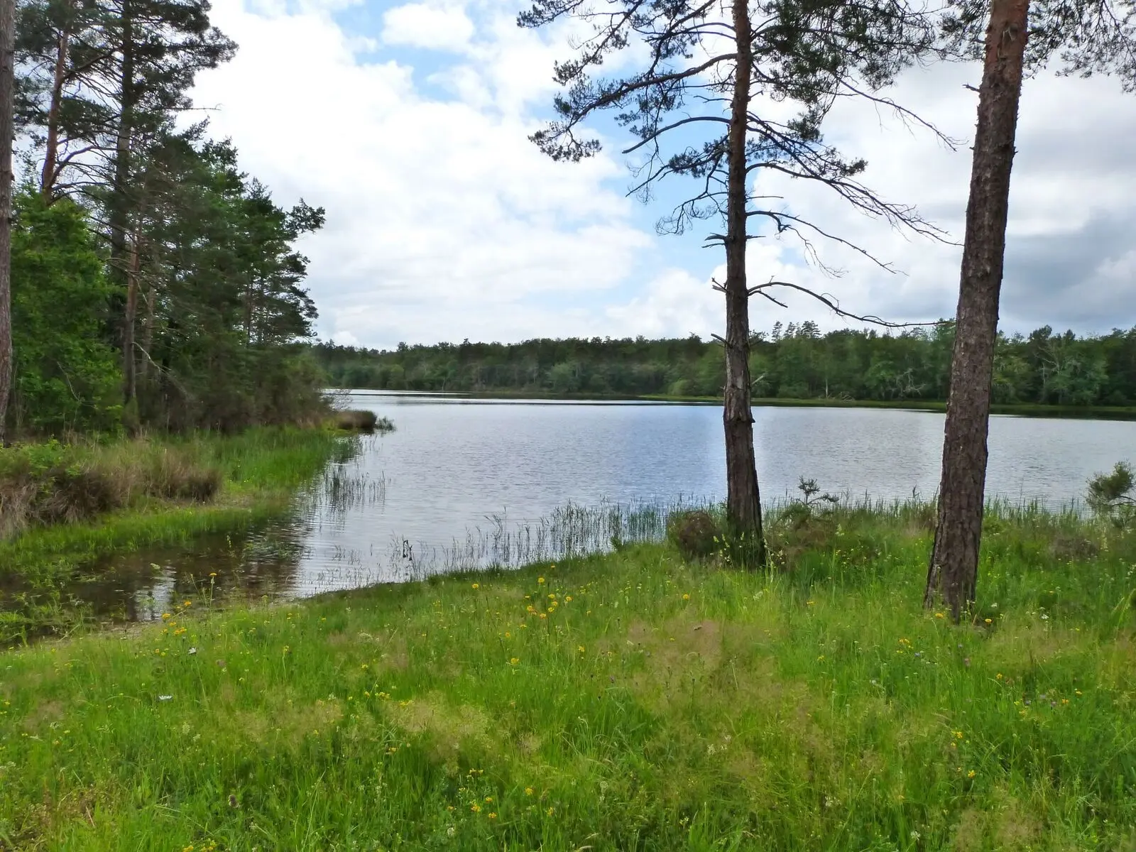 Etang de la Jemaye_Ot Périgord Ribéracois