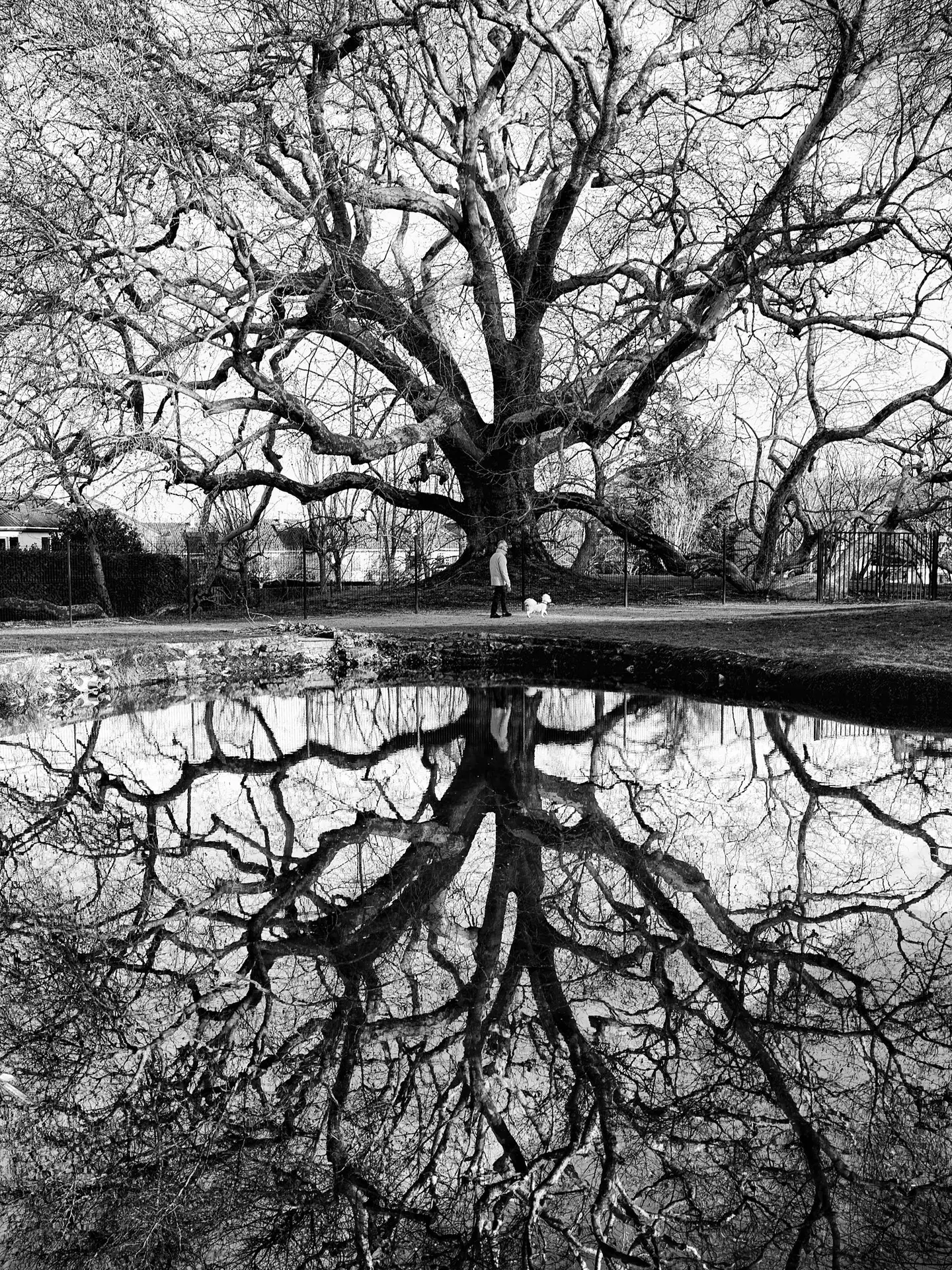 Expo Daniel  Olivier 24 30 aout Eymet 5