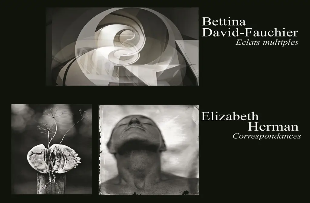 Exposition : Bettina Fauchier et Elizabeth Herman, photographies