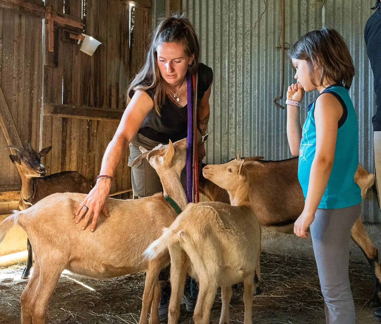 Ferme Equilibre 2024 web-5