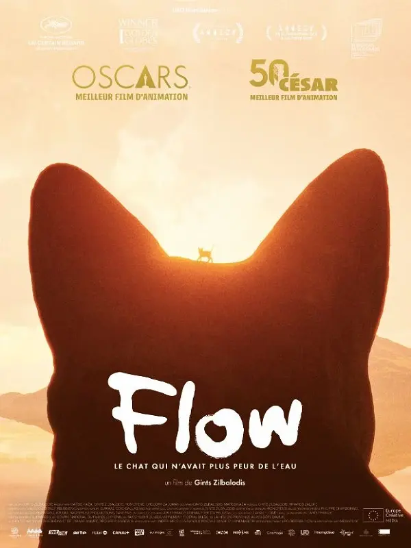 Flow©AlloCiné