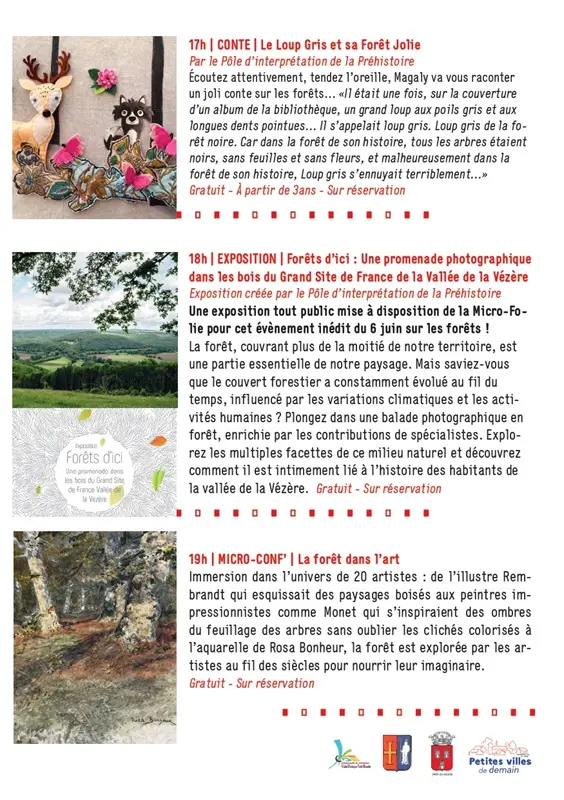 Flyer - FORETS - Numérique_page-0002