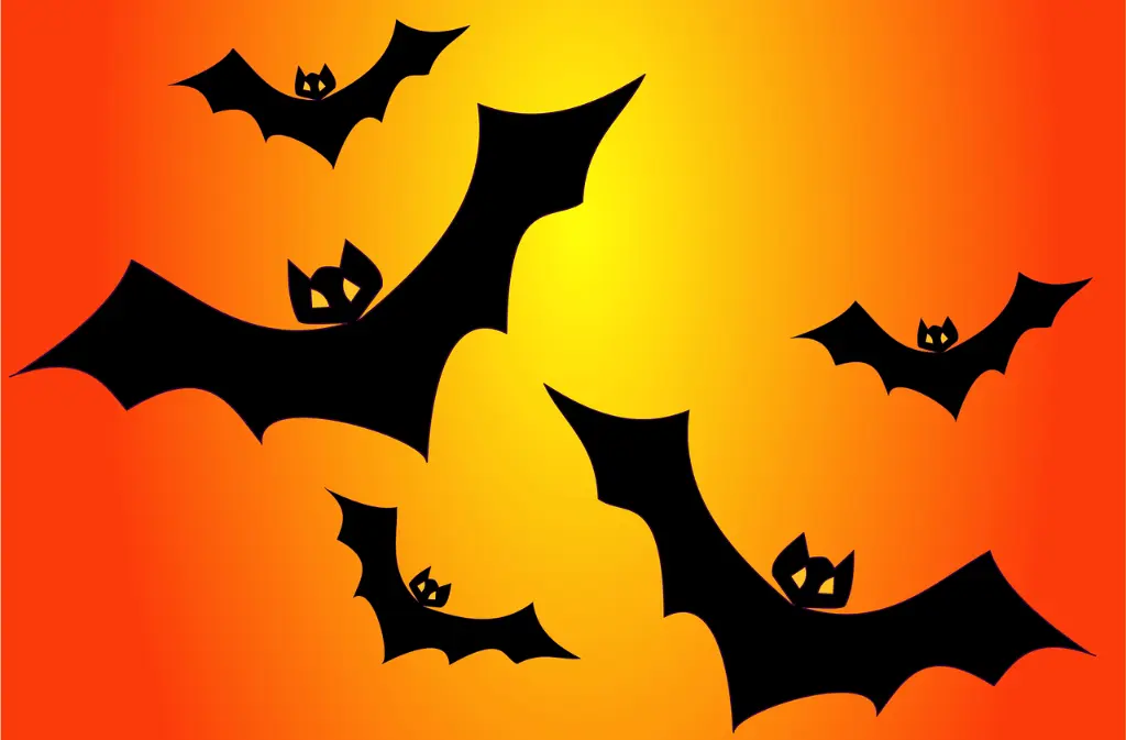 Halloween St Cernin 31 oct