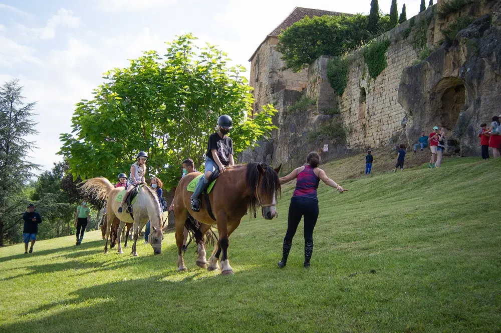 JSPN-2021 (23) poney