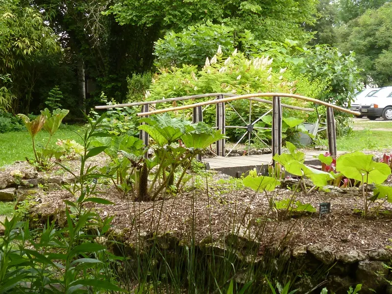 Jardin botanique d'ALAIJE Tourbière