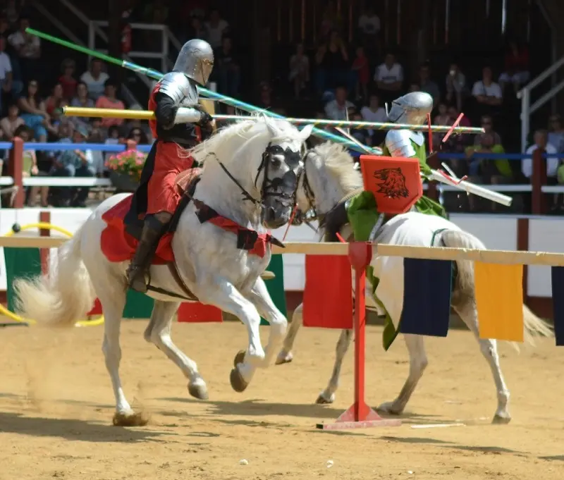 Joute