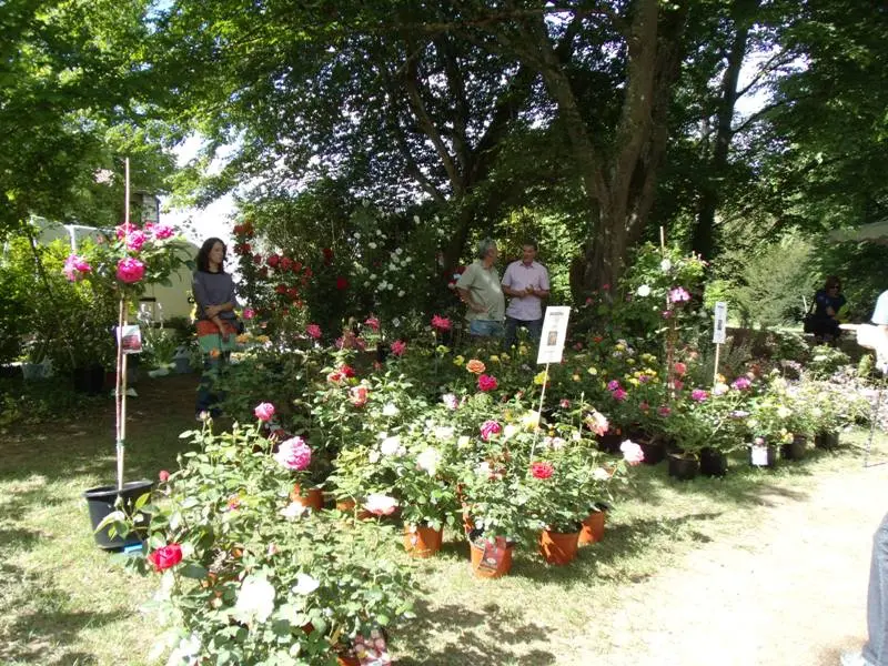 Journée des plantes NEUVIC