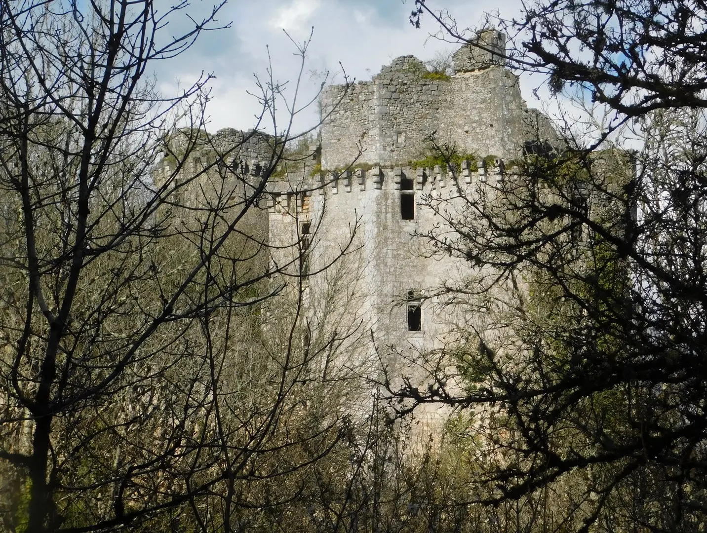 Le château de la Belle au Bois Dormant