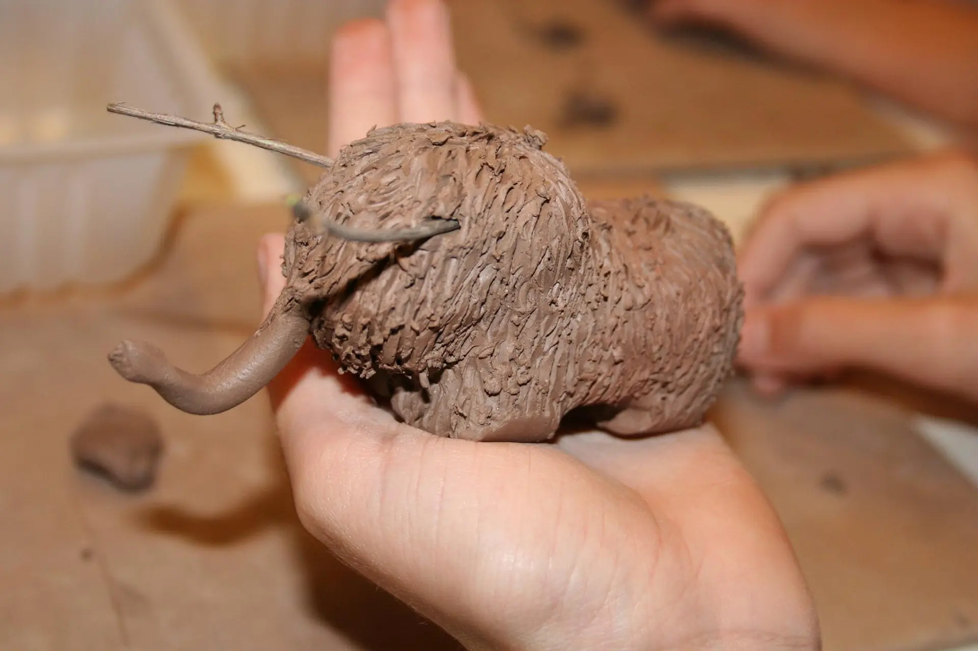 Le mammouth à la loupe 2019 5