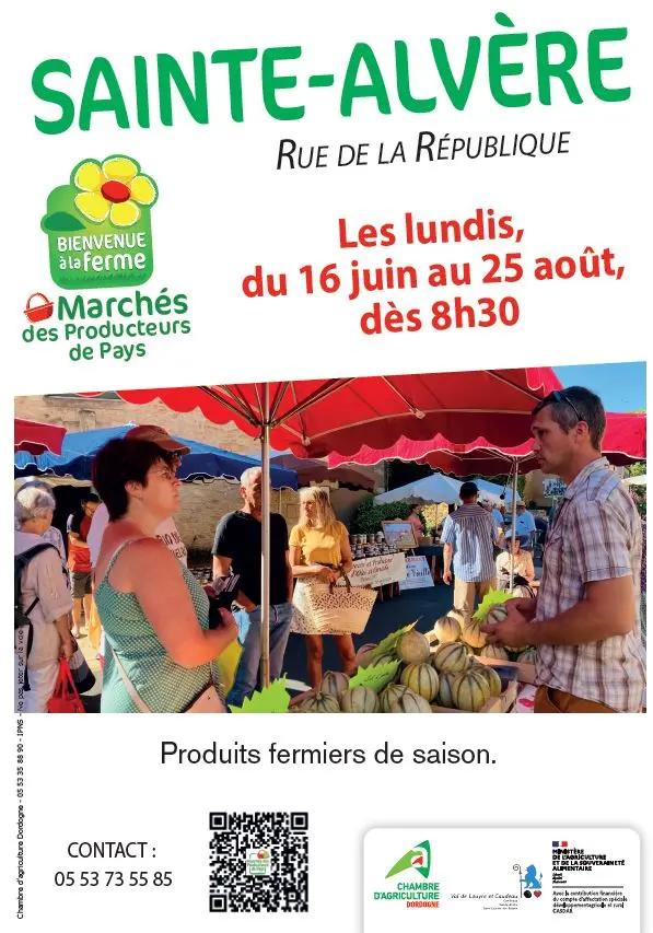 MPP été 2025