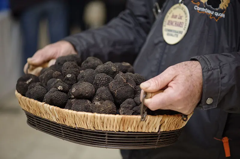 Marche-truffes-Sainte-Alvere