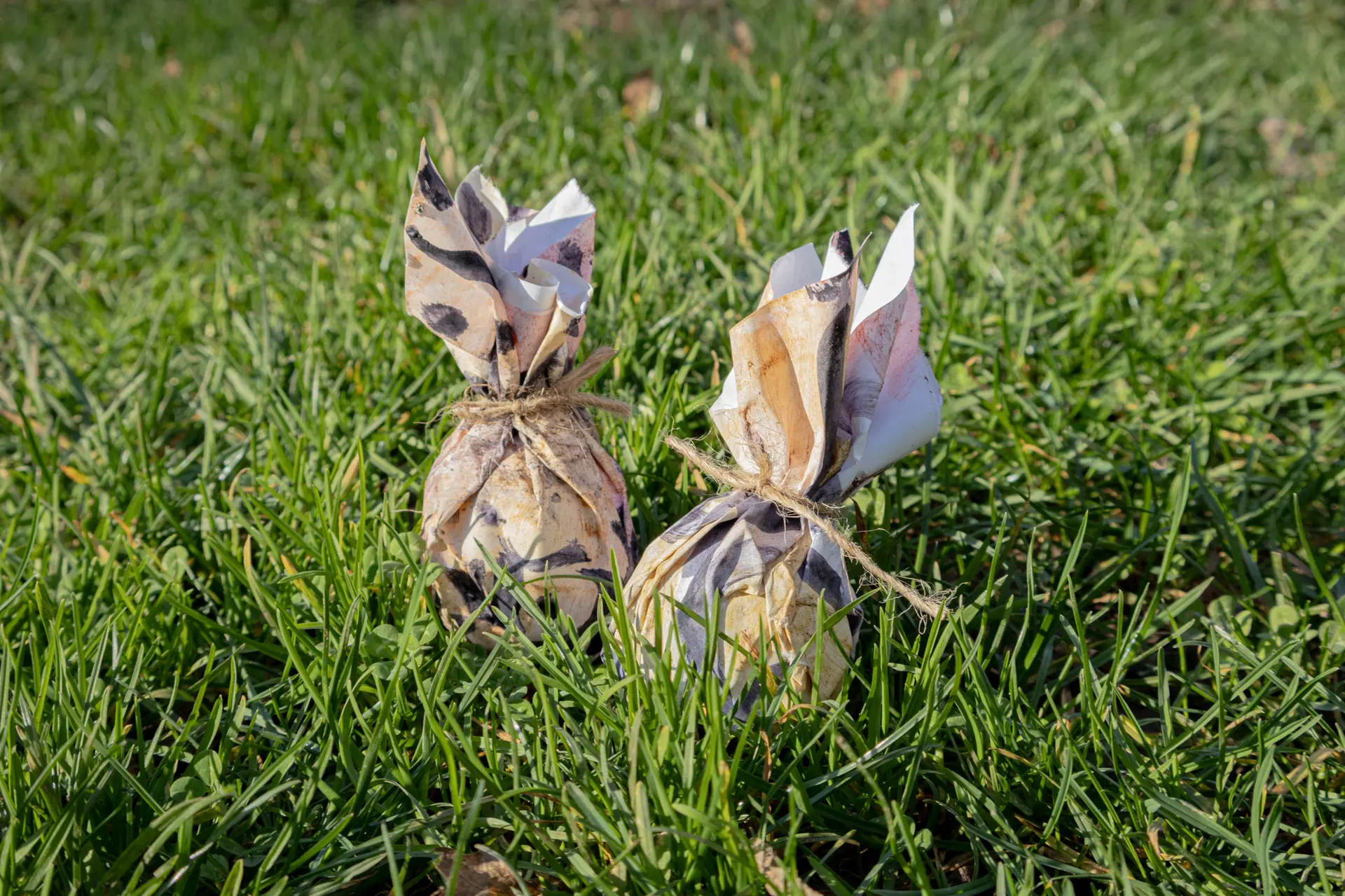 Oeufs de paques
