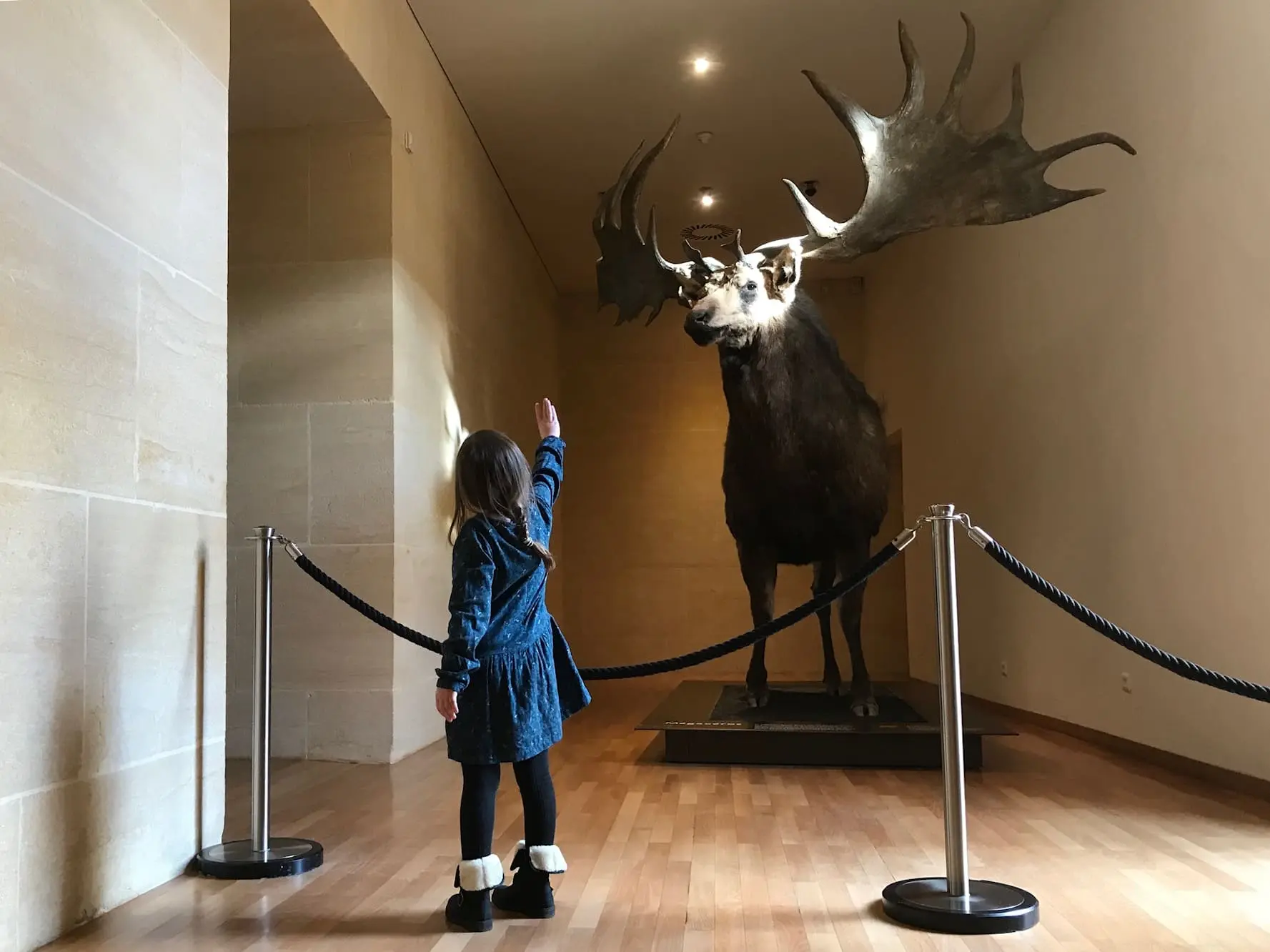 PCU_Musée National de Préhistoire-Enfant_Les Eyzies_février 2018