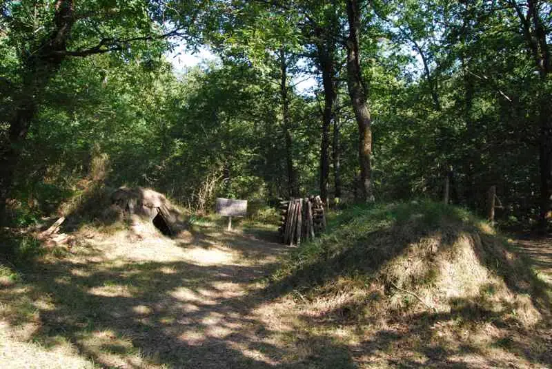 arbres-parcot-echourgnac-vallee-isle-perigord