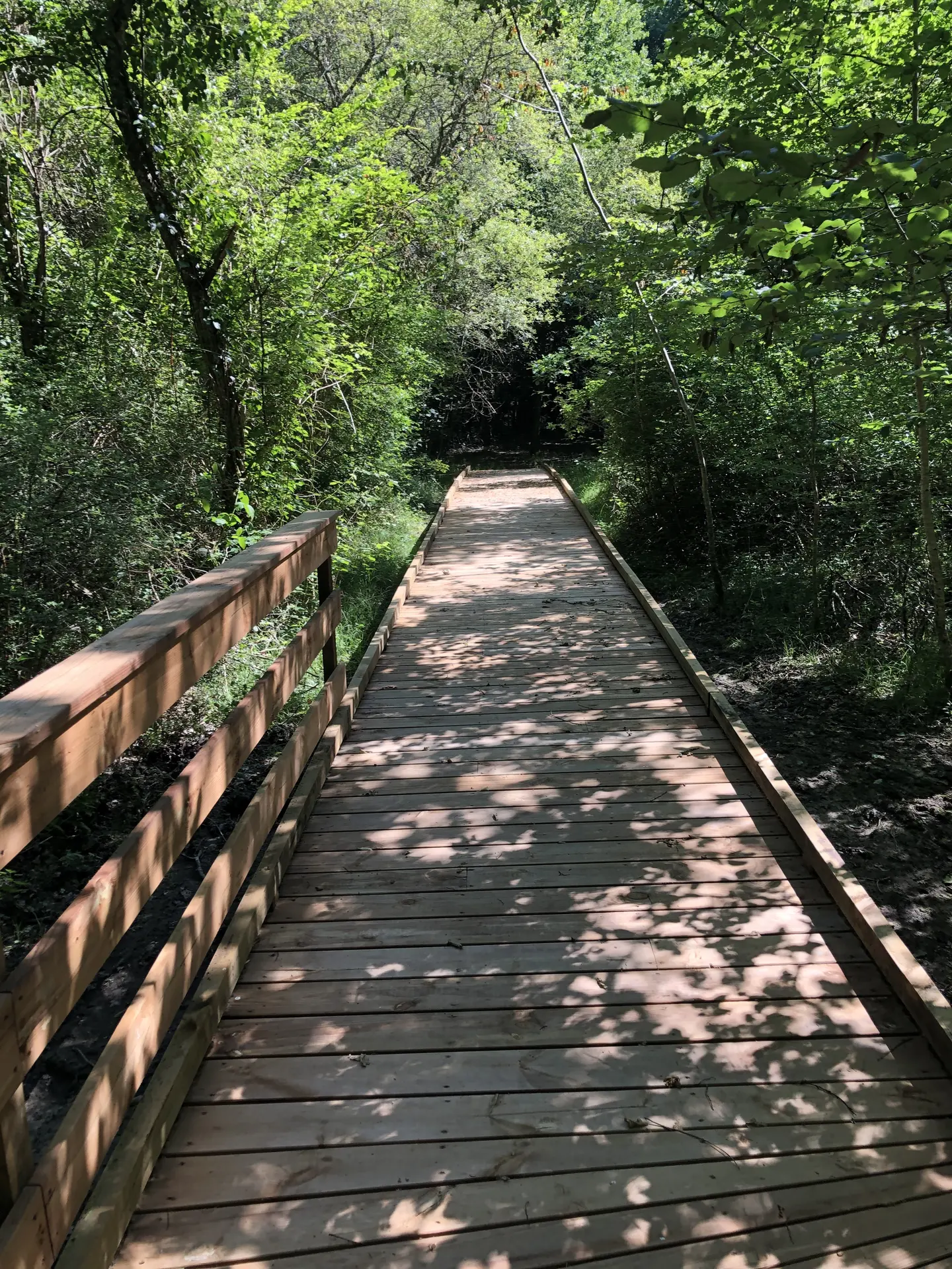 Parcot-passerelle-sentier