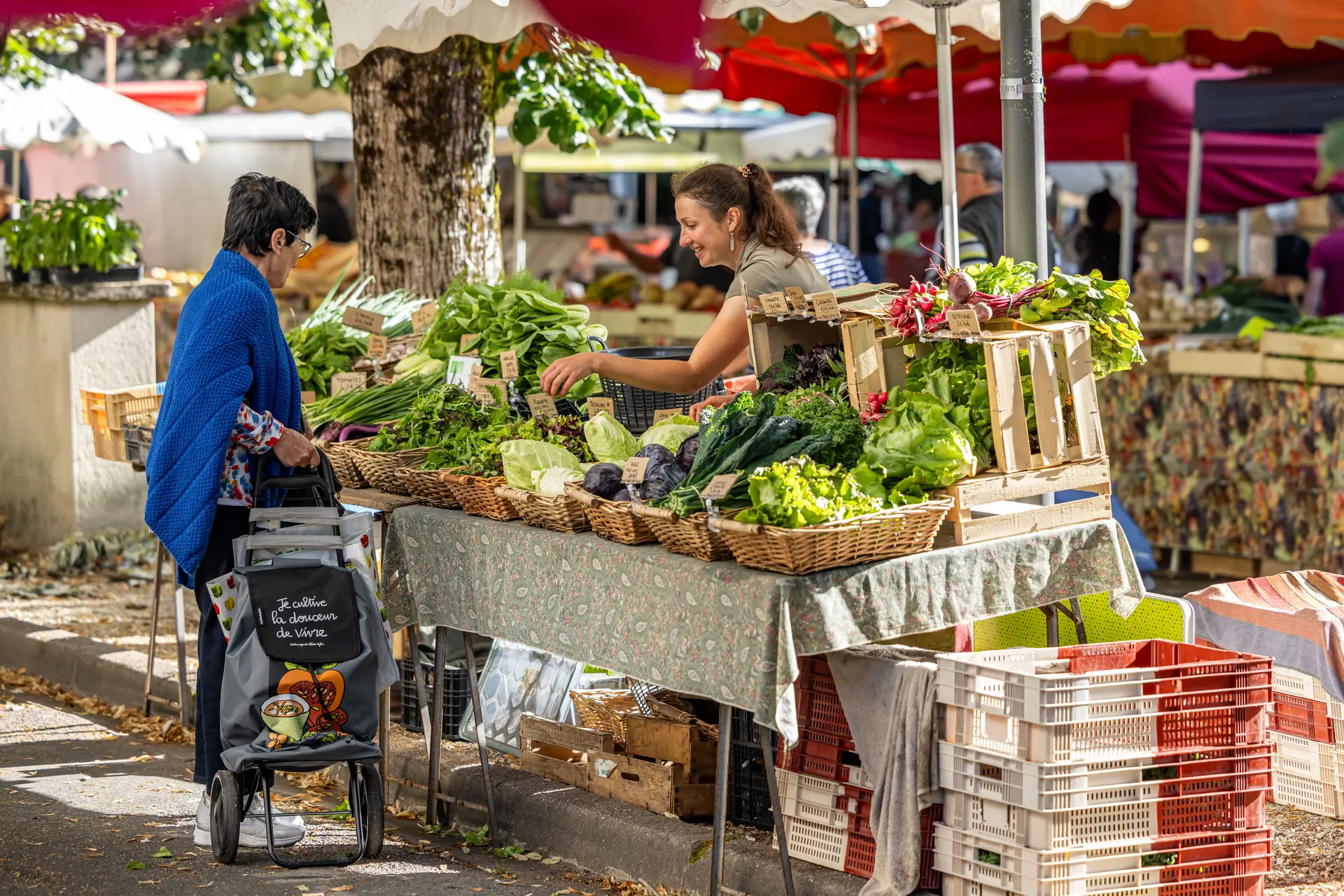 Ribérac - Marché