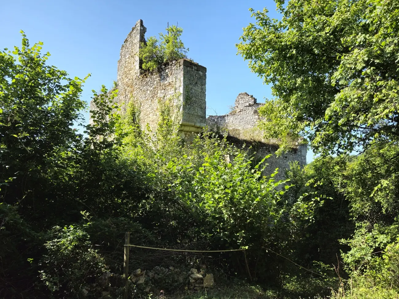 RS Château de Bruzac 02