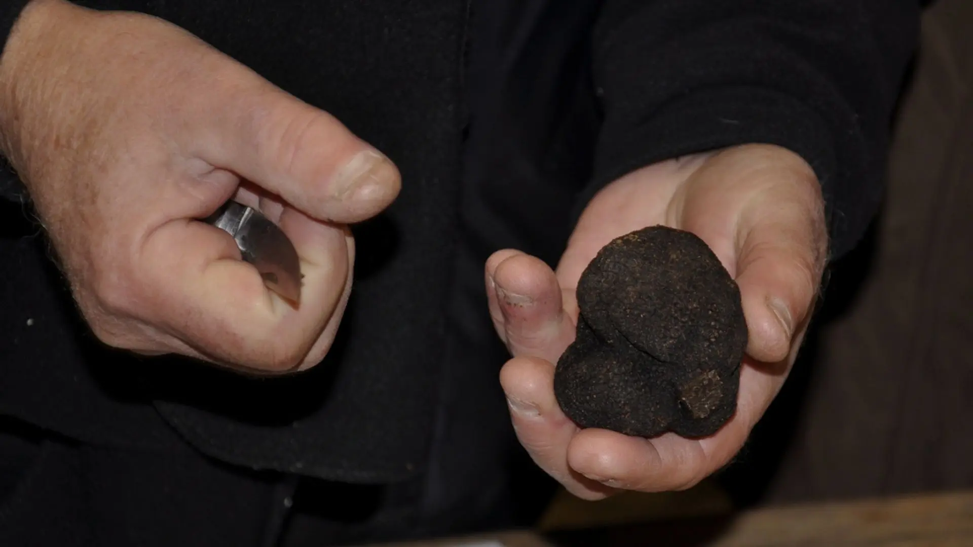 Terre de truffes, terre d'hommes