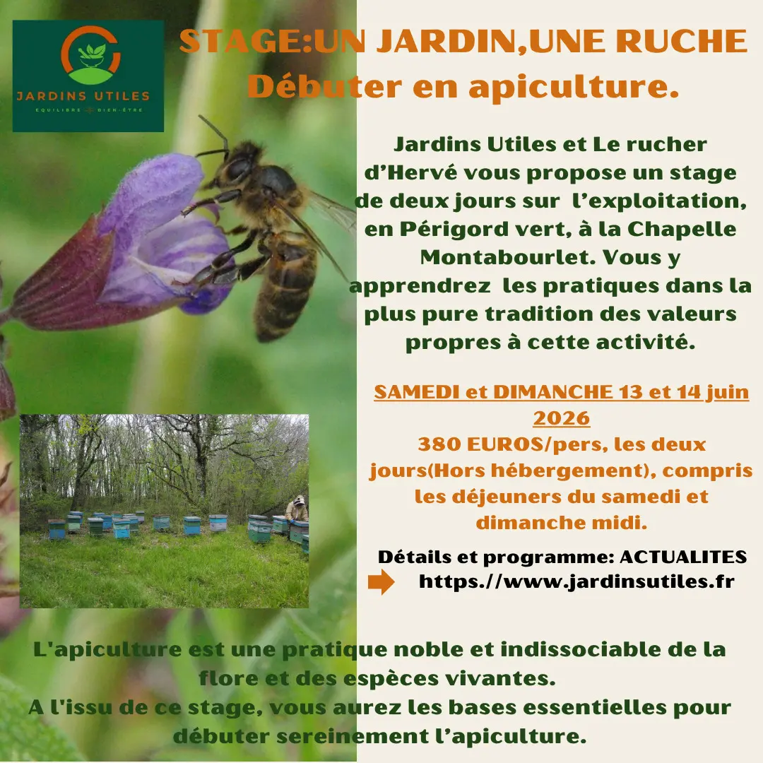 STAGE APICULTURE 2026 - 5