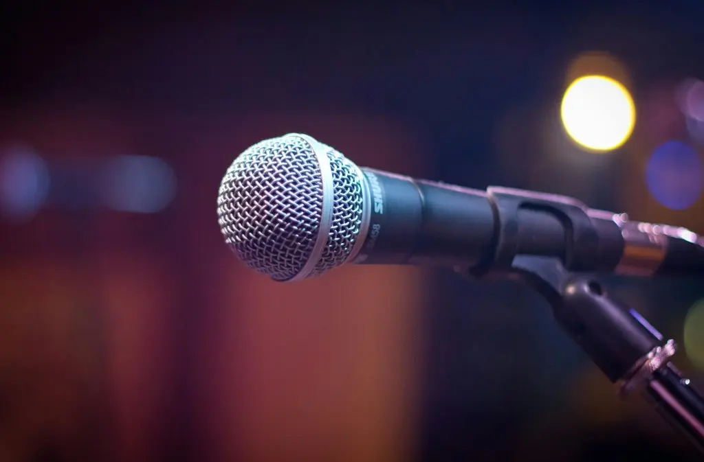Concert de FANNY DELAIGUE