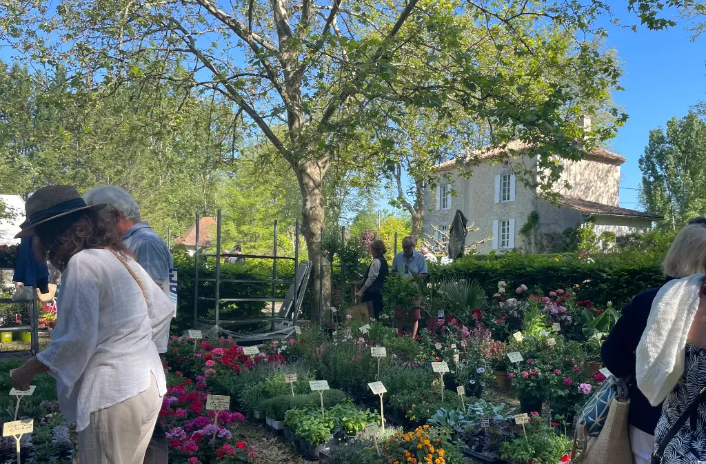 Marché aux fleurs