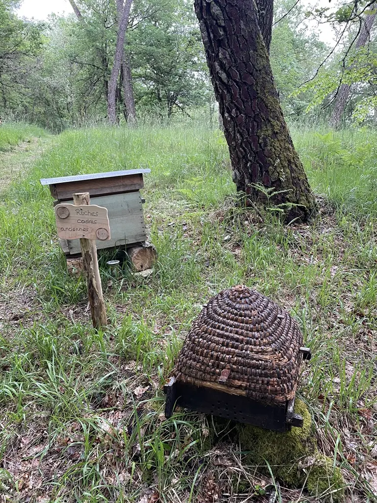 Site-Charbonnière-St-Géraud-ruches-vallee-isle-perigord