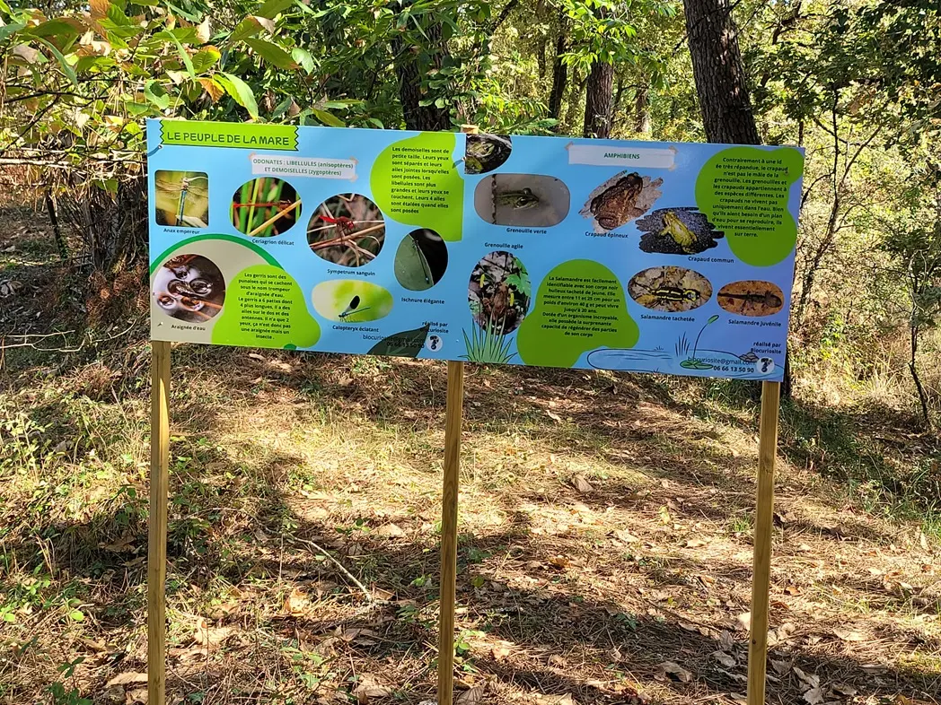 Site-charbonniere-St-Geraud-panneau-mare-vallee-isle-perigord