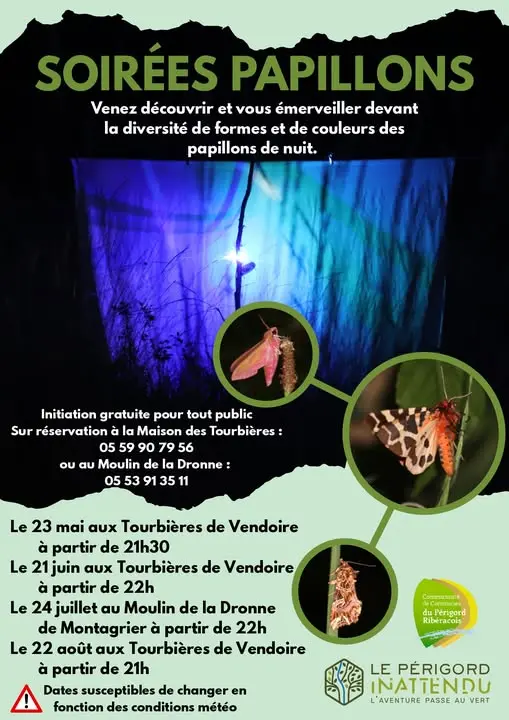 Soirée papillon