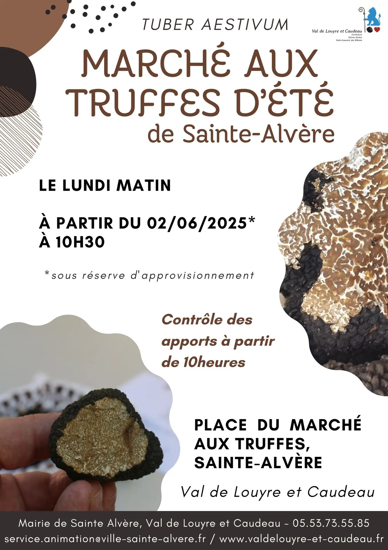 Affiche Marché aux truffes d'été 24 - Truffes d'été 2024 & 25