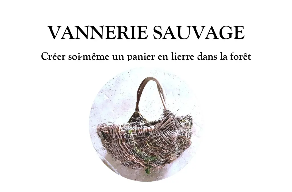 VANNERIE SAUVAGE affiche Fonroque 2026