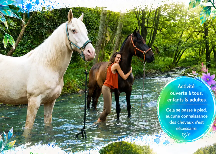 Zaltana baignade chevaux