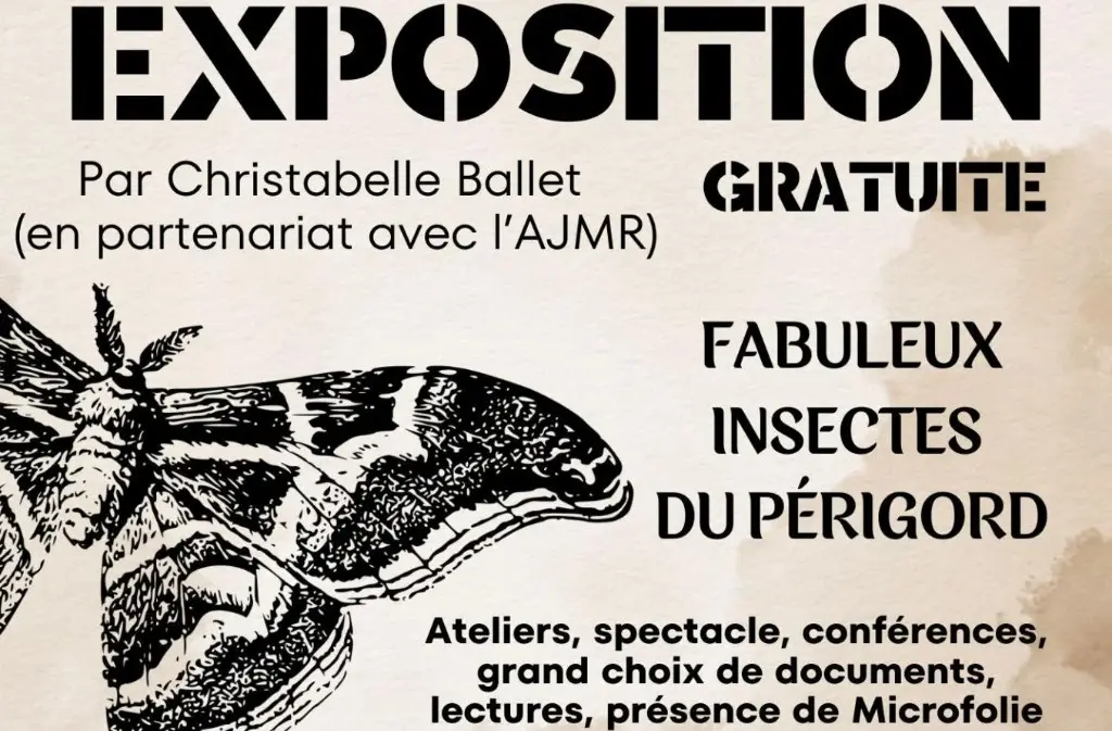 Exposition médiathèque Lalinde