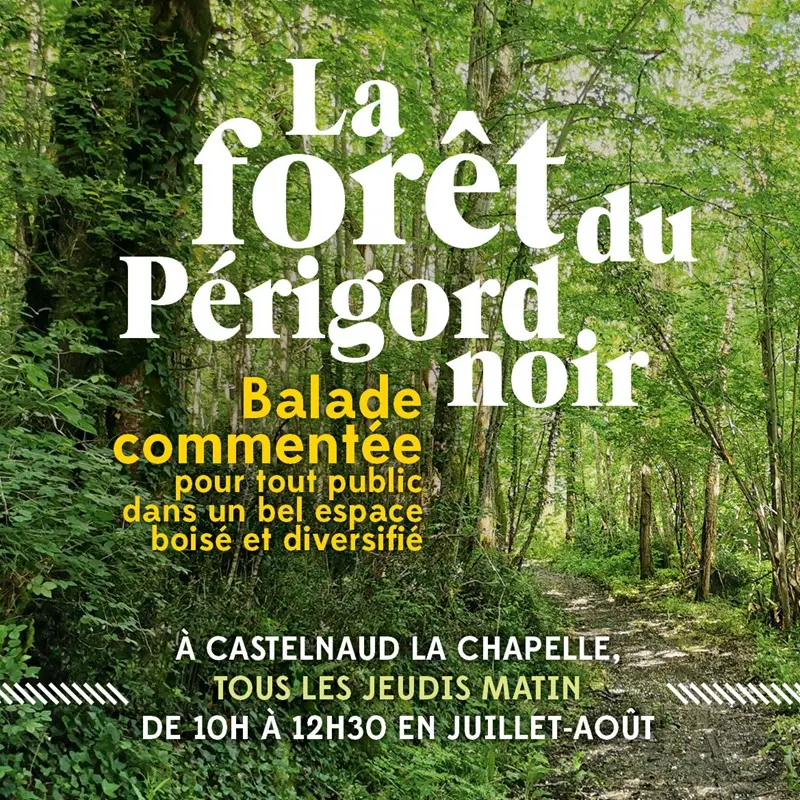 arnaud_fpn_web_carre