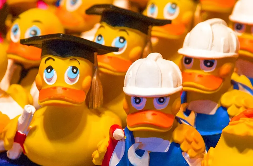canard