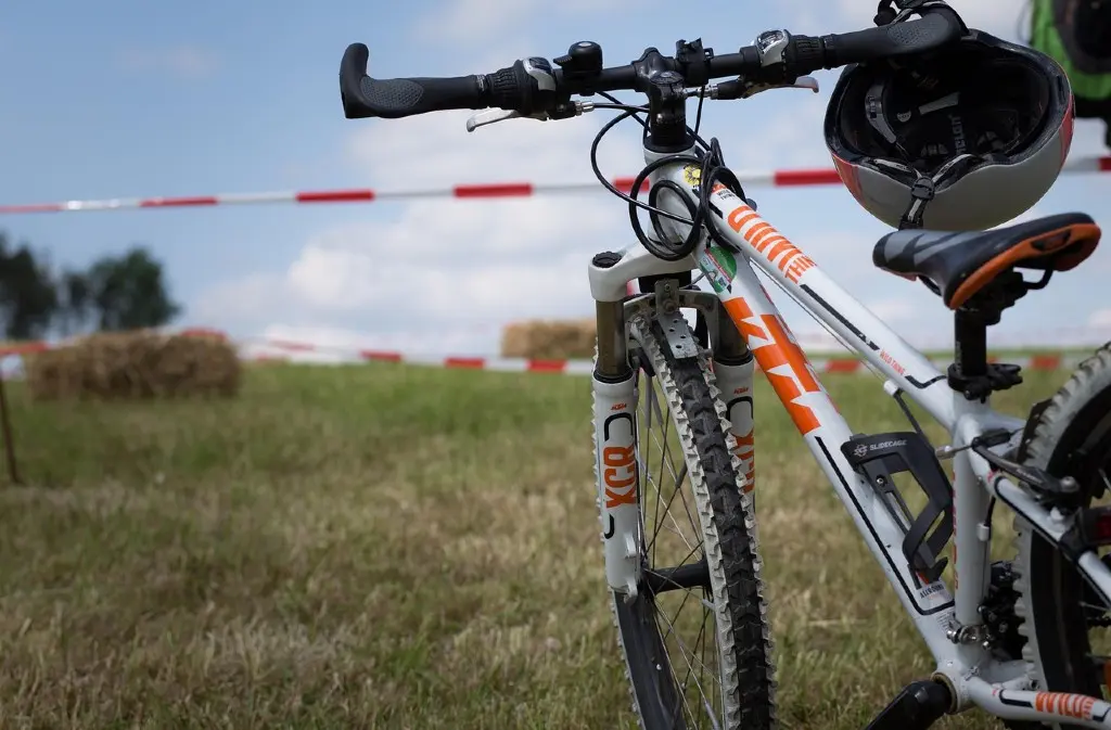 Endurance pourpre VTT