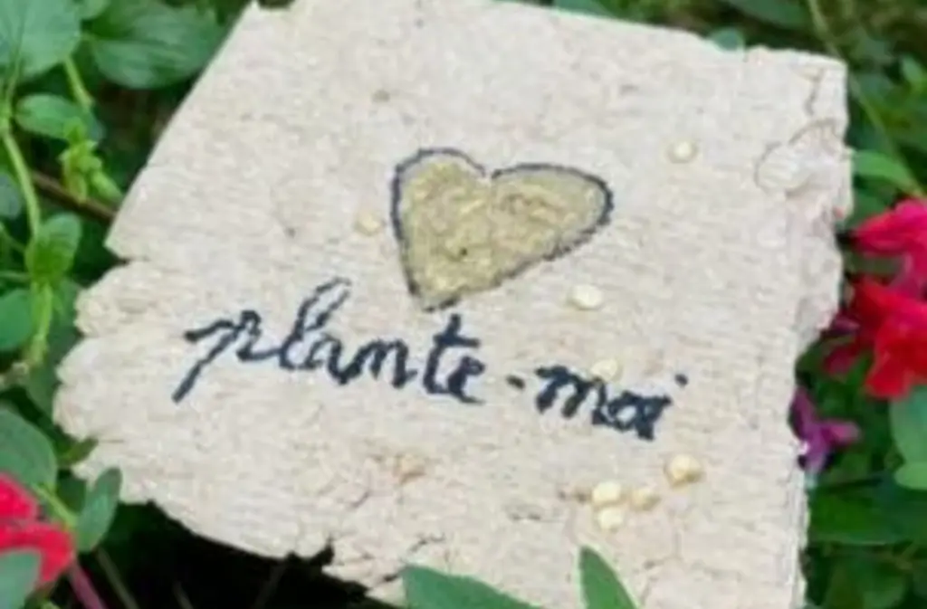 Atelier carte à planter Lalinde