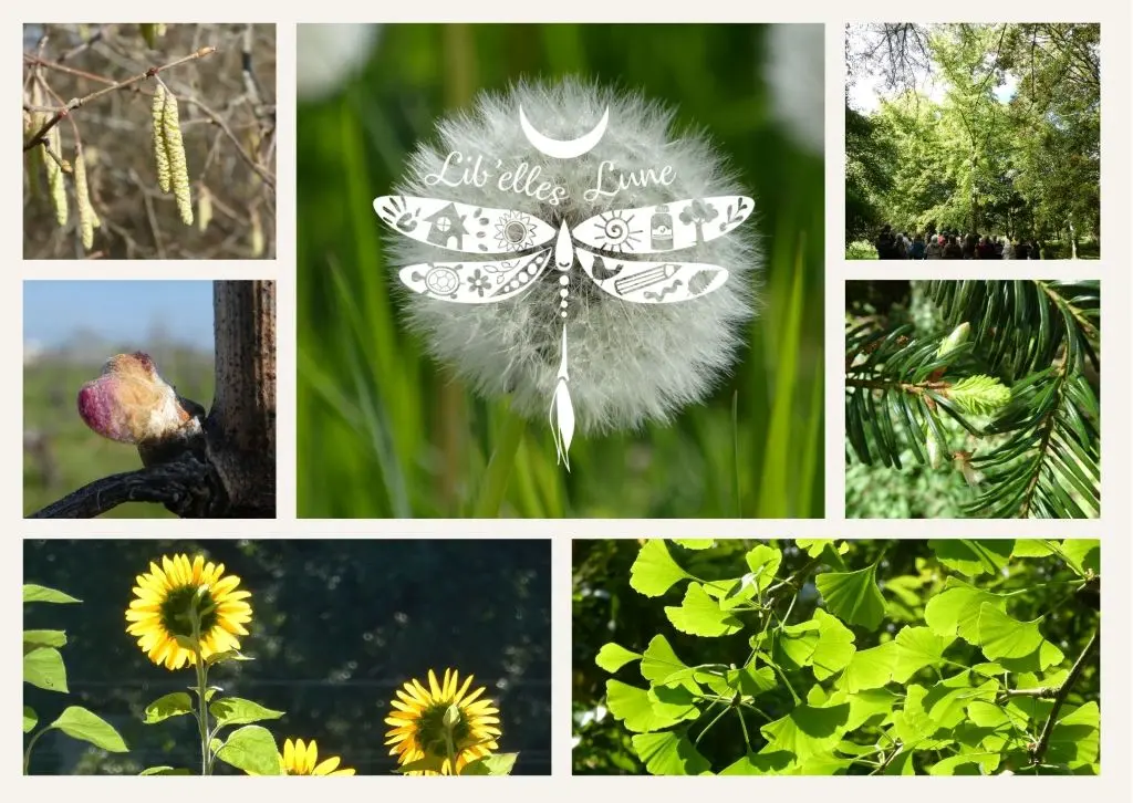 chateau-de-neuvic-balade-parc-CDF2026