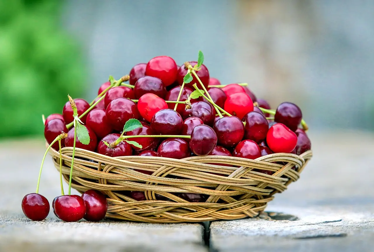 fête de la cerise